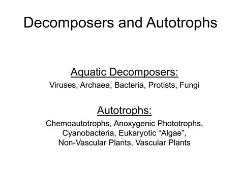 Aquatic Decomposers