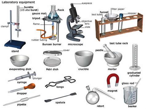 biology-laboratory-equipment-list-500x500 - ESL Buzz