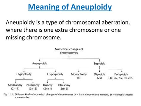 Aneuploidy | PPT | Free Download