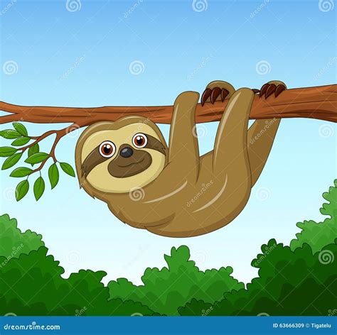 Cartoon Happy Sloth Hanging on the Tree Stock Vector - Illustration of tropical, amazon: 63666309