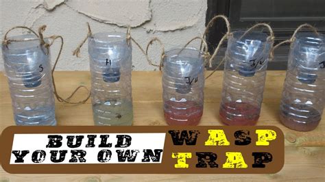 Homemade Mosquito Trap: Make Homemade Wasp And Mosquito Traps | atelier-yuwa.ciao.jp