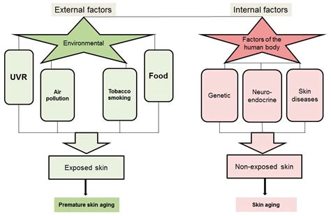 Causes Of Aging Skin