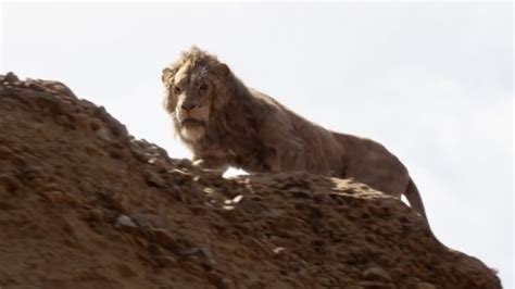 The Lion King: How Mufasa's Death Is Different In The Remake