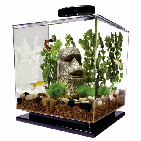 I Love Betta Fish: Betta Fish Tank - Betta Aquariums