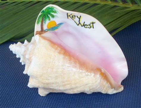 Painted Conch Shells – Art by Janis