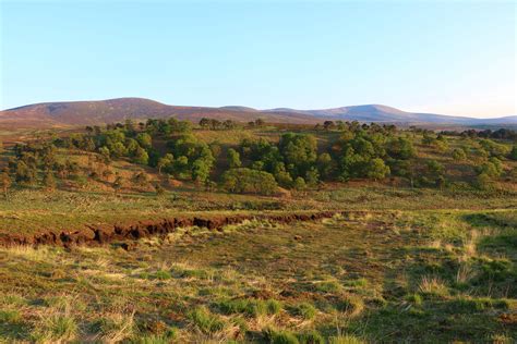 Expose Nature: It always has a very African plains feel up here during summer. Wicklow Mountains ...