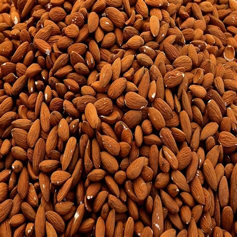 Almond seeds – wadaverwaltungs.com