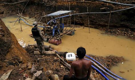 Plans to allow mining in the Amazon rainforest have been halted | World | News | Express.co.uk