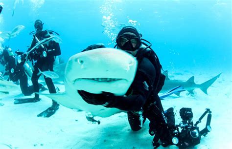 Man Goes on an Adventurous Scuba Diving Photo Shoot With Sharks | Complex