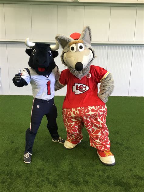 UNMASKING TORO: Meet the person behind the Texans mascot - ABC13 Houston