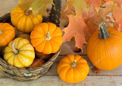 Pumpkins and Gourds — Stock Photo © chasbrutlag #86791414