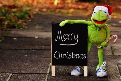 Kermit Frog Christmas Santa · Free photo on Pixabay