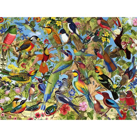 Fantastic Birds 500 Piece Jigsaw Puzzle | Bits and Pieces