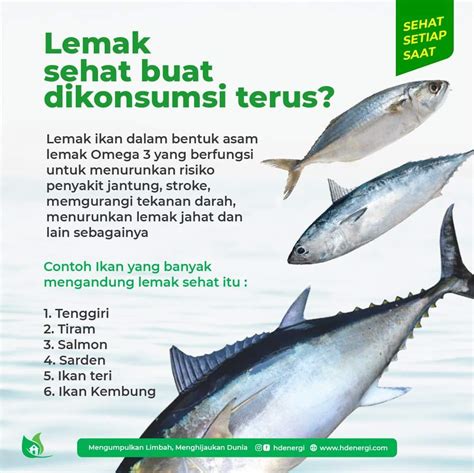 Lemak Sehat Buat Dikonsumsi Terus? | AtmaGo