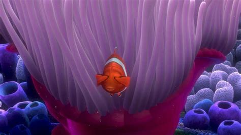 Finding Nemo - Finding Nemo Image (3561591) - Fanpop