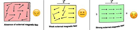 Domain formation is the necessary feature of