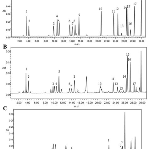 Amino acid chromatography in various samples. (A) Chromatography of the... | Download Scientific ...