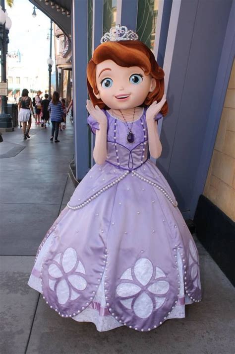 Pin by Samantha Cayo on princess sofia | Disney face characters, Disney costumes, Disney cosplay