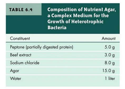 What is Nutrient Agar - Composition, How to Prepare and Uses ...