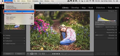 49++ Lightroom watermark fonts ideas in 2021