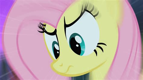 Image - Fluttershy and The Stare S01E17.png - My Little Pony Friendship is Magic Wiki