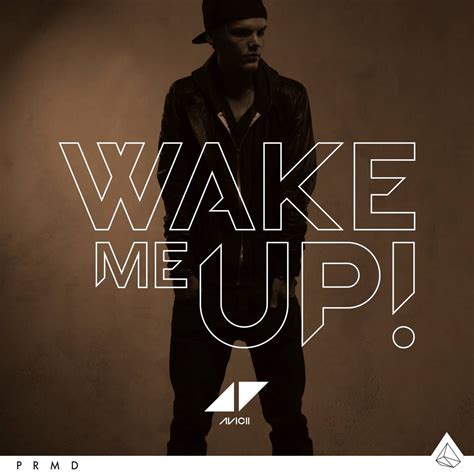 Avicii - Wake Me Up • HappyFan.fr