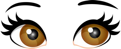 Human eye Brown Clip art - eyes png download - 7000*2837 - Free Transparent png Download. - Clip ...