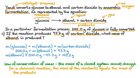 Recommendation Yeast Fermentation Equation Lyfe Support Blogspot