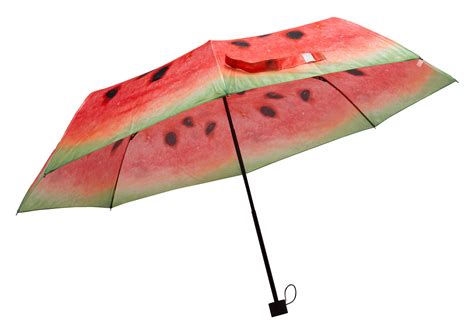 Kiwi Orange Watermelon Fruit Design Umbrella Nylon Folding Compact Brolly 98cm | eBay