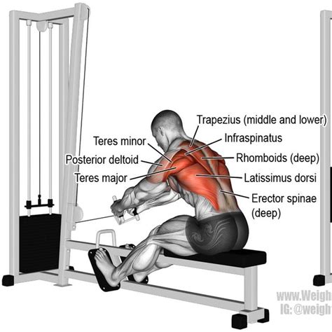 Cable Row by Jesus Perez - Exercise How-to - Skimble