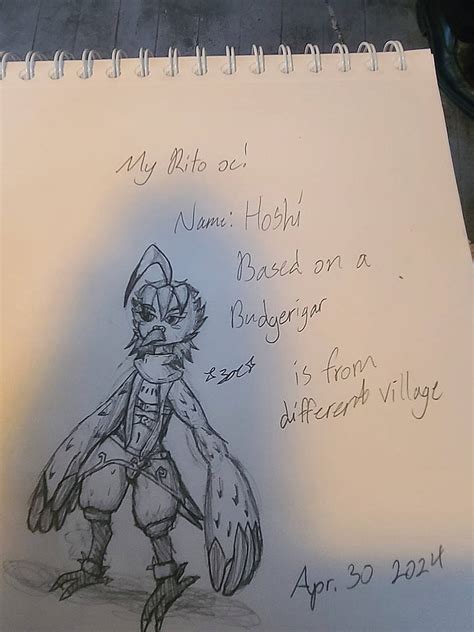 Fan made Rito Oc! by ZoewithoutaY on DeviantArt