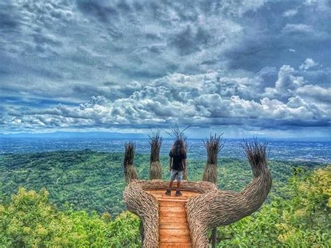 Merayakan Cinta dan Keindahan Alam di Hutan Pinus Mangunan - MyLife