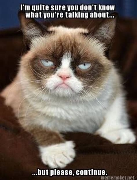 Funny Grumpy Cat Memes | Funny Memes Fun