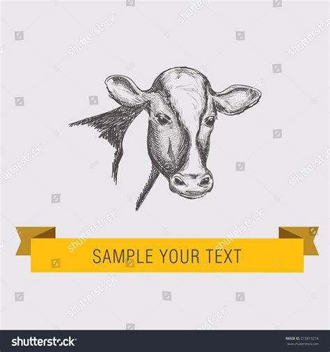 Cow. Vintage Illustration. - 215813218 : Shutterstock