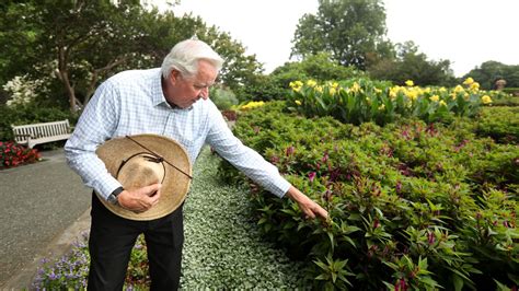 Flower Gardening For Beginners: Unlock the Secrets to a Thriving Flower Garden - Outside Gear