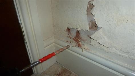 How Much is Damp Proofing? | Damp Proofing Price Guide 2024