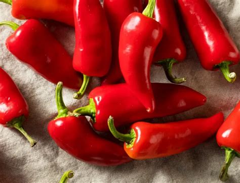 How Does Capsaicin Work? - Scigroundbio