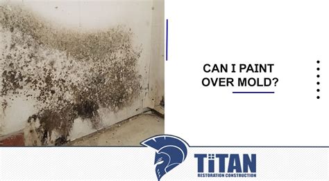 Can I Paint Over Mold? | Titan Restoration Construction