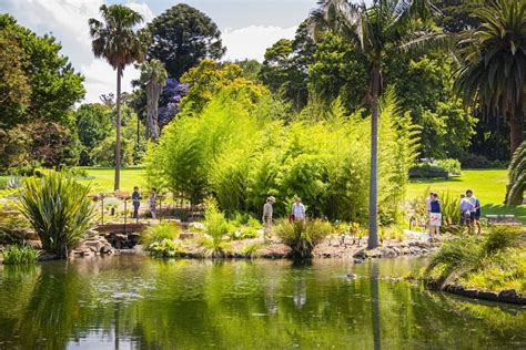 The next 20 years for Melbourne's botanic gardens | ArchitectureAU