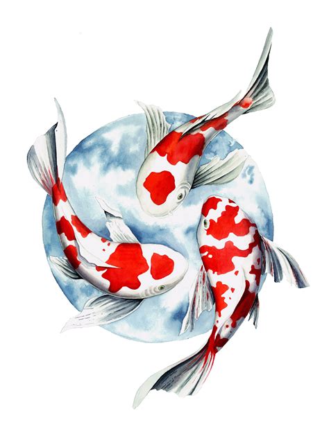 35+ Colorful koi fish clipart info