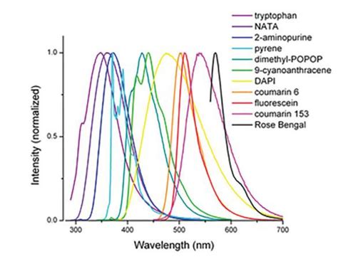 What is Fluorescence Spectroscopy?