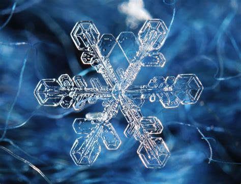 How to Shoot Snowflake Photography (Stunning Macro Snowflakes)