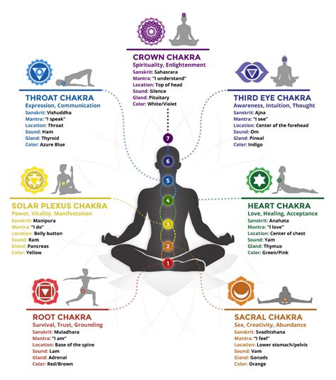 The 7 Chakras | Chakra meditatie, Holistische geneeswijzen, Meditatie