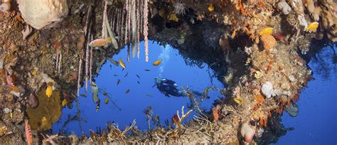 At Wakatobi, there are many different ways to enjoy scuba diving | Wakatobi Flow