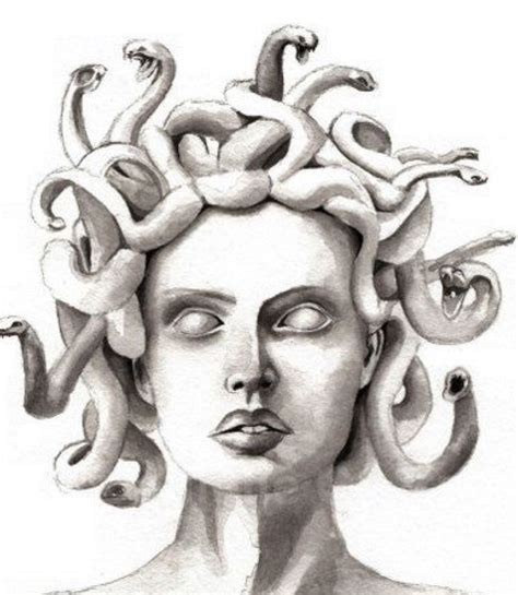 Medusa tattoo | Arte de medusas, Dibujos, Arte