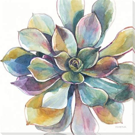 Colorful Succulent Flower 1 Wrapped Canvas Giclee Print Wall Art - Wall Decor - Artwork