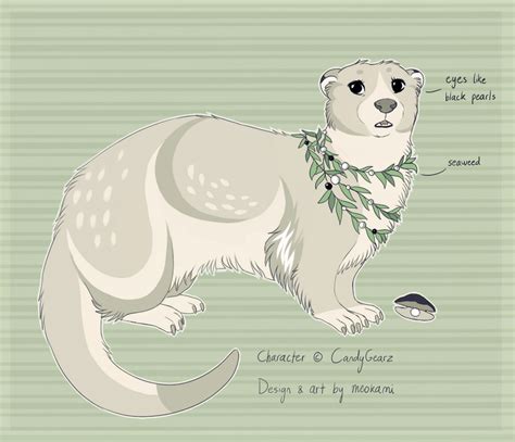 Albino otter by meokami on DeviantArt