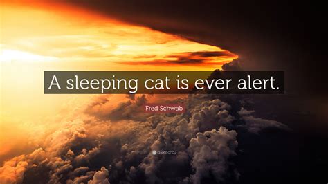 Fred Schwab Quote: “A sleeping cat is ever alert.”