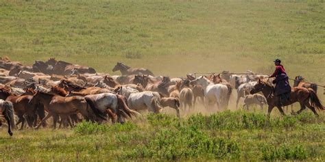 The Difference Between Inner And Outer Mongolia | Selena Travel