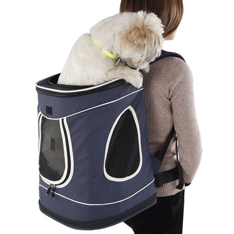 Best Dog Carrier Hiking Backpacks - Ruby Cavalier King Charles Spaniel